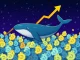 A large digital whale diving into a pool of Dogecoin coins, symbolizing strategic accumulation and potential DOGE price recovery.
