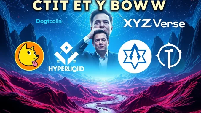 Elon Musk shifts focus from Dogecoin to XYZVerse, Hyperliquid, and Pi Network with high return potential