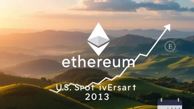 Visualizing the successful first year of US Spot Ethereum ETFs, highlighting significant inflows and growing institutional confidence.