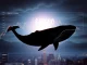 A digital whale silhouette overlooking a volatile Ethereum price chart, illustrating the impact of whale activity on ETH price and market dynamics.