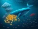Ethereum whales strategically accumulate ETH while retail investors exit, signaling potential market shift and bullish ETH price action.