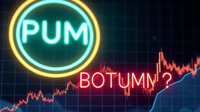 PUMP crypto meme token price analysis showing potential market bottom