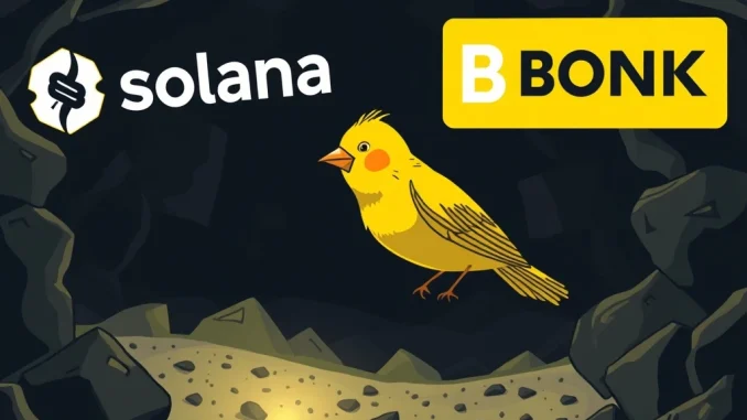 BONK and Solana meme coin ecosystem fragility warning sign