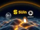 SUI Coin and Pudgy Penguins surge alongside Cold Wallet's innovative utility in cryptocurrency.
