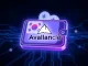 Travel Wallet and Avalanche partnership for Korean won stablecoin innovation