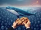 Illustration of large US investors (whales) aggressively accumulating Ethereum, showing a surge in ETH market activity.