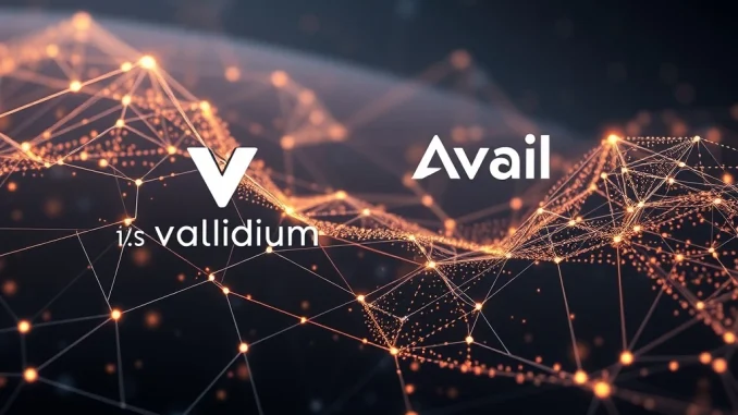 Validium Network's integration with Avail signifies a leap in blockchain scalability and interoperability, enhancing data flow.