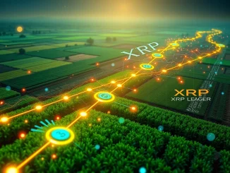 XRP Ledger powering a new blockchain agribusiness credit platform, revolutionizing finance.