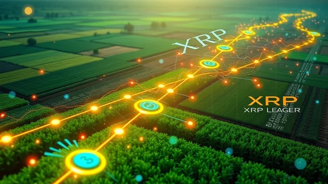 XRP Ledger Revolutionizes Agribusiness Finance with $130M Tokenization Platform XRP Ledger powering a new blockchain agribusiness credit platform, revolutionizing finance.