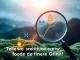 Impact of XRP news, highlighting ApeCoin, NEAR Protocol, and Sui as promising altcoin investment opportunities for crypto gains.