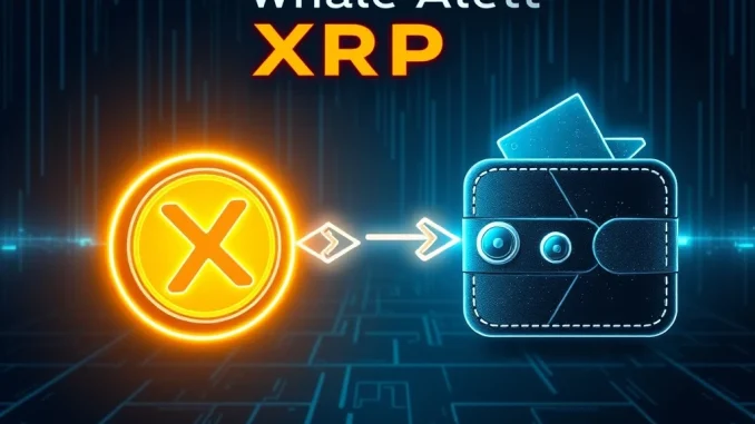 Massive XRP transfer to Ripple highlighted by Whale Alert