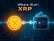 Massive XRP transfer to Ripple reported by Whale Alert