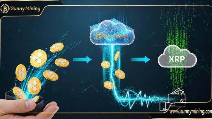 XRP Price Fluctuations: Sunny Mining Launches High-Yield Cloud Mining, Helping Users Convert XRP into Daily Profits