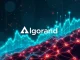 Algorand's bullish momentum with Q2 growth and bull flag pattern