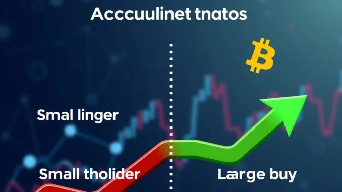Bitcoin Accumulation Trends: Small Holders Sell While Large Holders Buy – Glassnode Report Bitcoin accumulation trends showing small holders selling and large holders buying