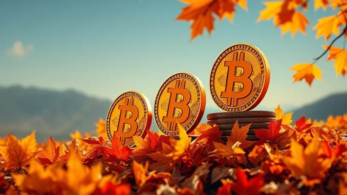 A chart showing a Bitcoin bull market trend, with autumn leaves, representing analyst predictions for an autumn surge in BTC price.