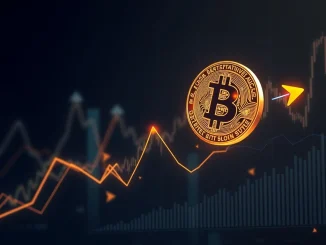 Chart illustrating Bitcoin cycles driven by investor inflow, signifying a crucial shift from BTC halving influence.