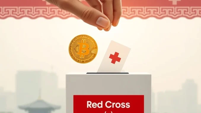 A Bitcoin donation enters a Korean Red Cross box, symbolizing groundbreaking crypto philanthropy in South Korea.