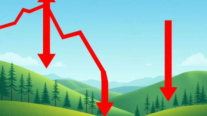 Charts showing significant Bitcoin ETF outflows and Ethereum ETF outflows, reflecting a substantial investor pull-back in the crypto market.