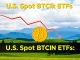 Chart illustrating U.S. spot BTC ETFs experiencing significant Bitcoin ETF outflows, signaling market shifts.
