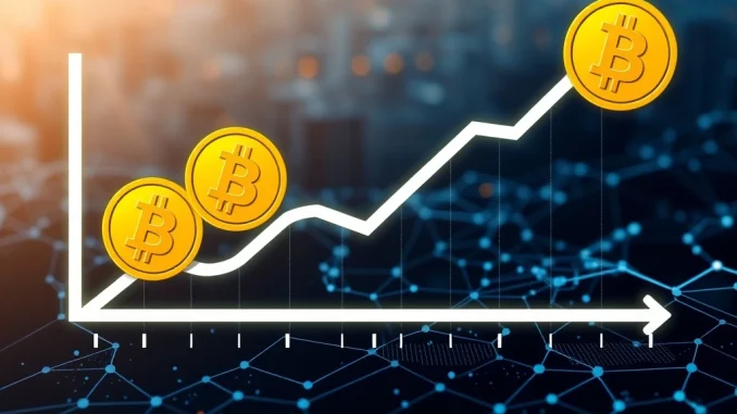 Graph showing a significant drop in Bitcoin fees, reflecting a decrease in Bitcoin network activity.
