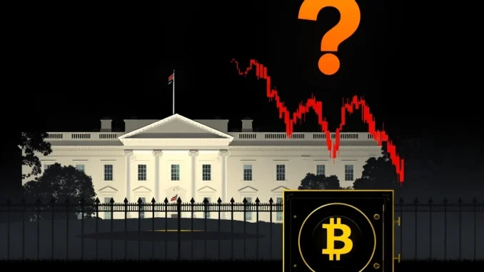 Bitcoin price drop amid Trump crypto report uncertainty