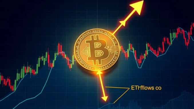 Bitcoin at a critical juncture with ETF inflows and volatility shaping price forecasts