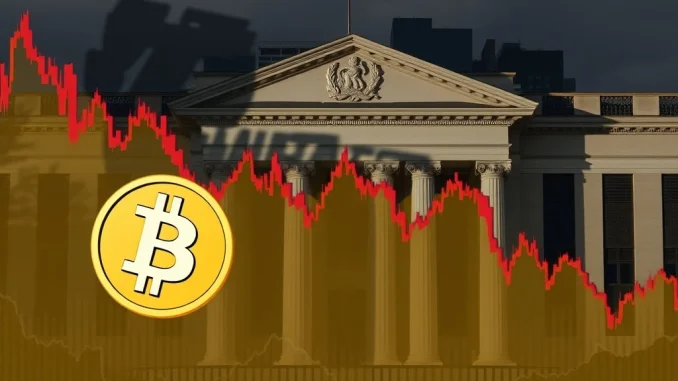 Bitcoin and stock market plunge after Fed holds interest rates steady