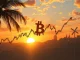 Bitcoin price chart showing summer consolidation amid market uncertainty