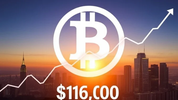 Bitcoin Price Explodes: BTC Surges Above $117,000 Mark A vibrant digital chart showing a sharp upward trend, representing the significant Bitcoin price surge above $117,000, indicating market growth.