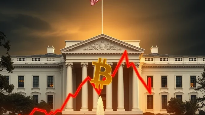 Bitcoin price drops after White House crypto report and Fed decision