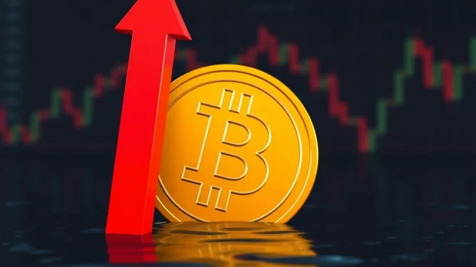 Chart showing a significant Bitcoin price drop, reflecting the recent market downturn and Bitcoin price volatility.