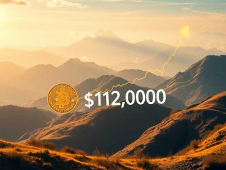 A vibrant digital chart displaying the impressive Bitcoin price surge above $112,000, signifying strong market momentum.