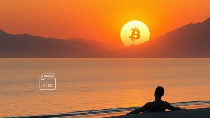 Bitcoin: Unlocking Your Future? New Model Projects 0.1 BTC Could Secure Retirement by 2045 A visual representation of how a small Bitcoin holding, like 0.1 BTC, could secure a comfortable retirement by 2045, illustrating the potential of Bitcoin for retirement planning.