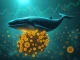 An abstract depiction of a large Bitcoin whale transferring 2,000 BTC, symbolizing significant market activity and long-term Bitcoin holding.
