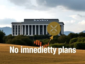 A large financial building, representing BlackRock ETF decisions, with blurred XRP and SOL logos, indicating no immediate plans for new crypto ETFs.