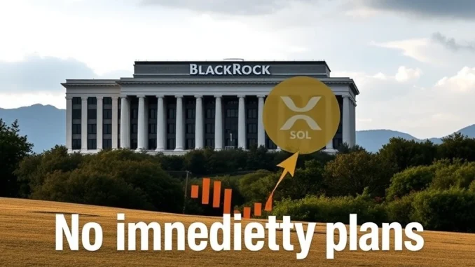 A large financial building, representing BlackRock ETF decisions, with blurred XRP and SOL logos, indicating no immediate plans for new crypto ETFs.