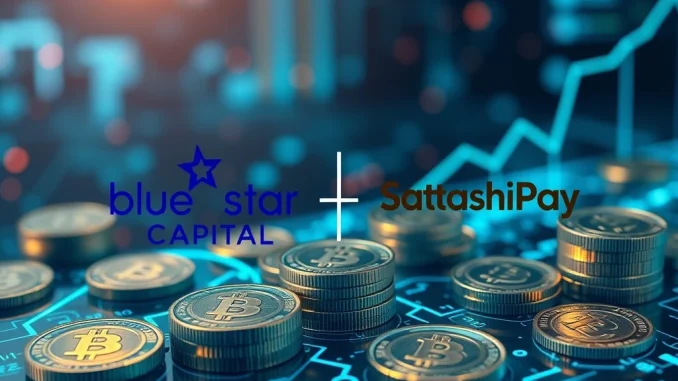 Blue Star Capital funding boosts SatoshiPay's Bitcoin and digital asset growth