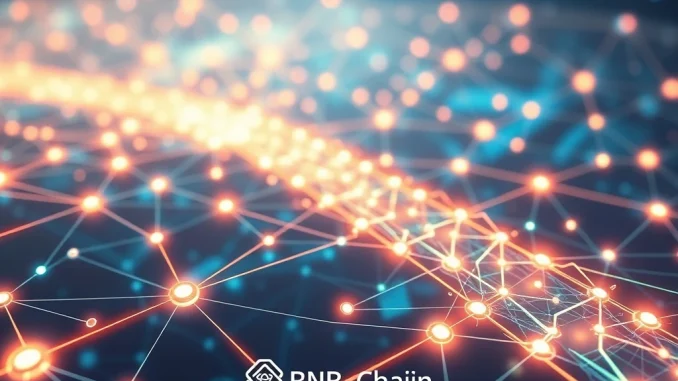 BNB Chain's MVB Season 10 rolling selection program empowering Web3 startups and fostering blockchain innovation.