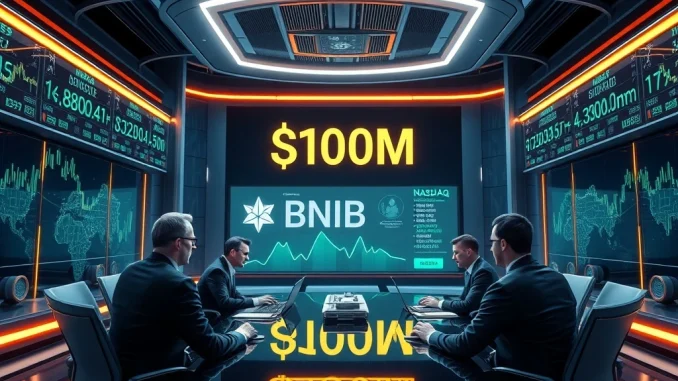 Executives planning a $100M BNB investment in a Nasdaq-listed firm