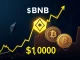 BNB's parabolic surge toward $1,000 in the cryptocurrency market