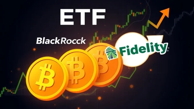 BTC ETFs Surge: $226M Inflows Extend 13-Day Winning Streak BTC ETFs showing strong inflows with BlackRock leading the trend