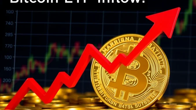 Bitcoin ETF outflows showing a sharp decline in investment trends