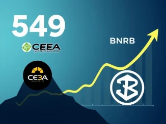 CEA Industries VAPE shares surge with BNB treasury strategy