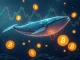 A crypto whale symbolizing a massive $84M USDC purchase of digital assets during a market dip, highlighting strategic investment.