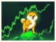 Dogecoin price chart showing a potential rebound from a key support level, highlighting the RSI indicator's bullish signal.