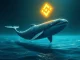 An illustration depicting a large crypto whale moving a significant amount of Dogecoin to the Binance exchange, symbolizing the large DOGE transfer.
