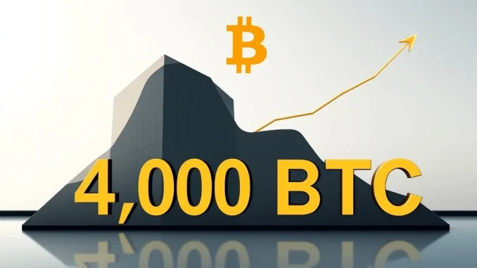 A digital representation highlighting Empery Digital's significant Bitcoin holdings, symbolizing corporate Bitcoin accumulation.