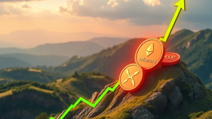 Charts visualizing the incredible altcoin surge, depicting strong performance of Ethereum, Solana, and XRP as capital shifts.