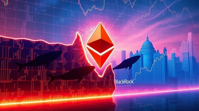 An Ethereum price chart showing a strong upward trend towards $3,800, symbolizing ETH's breakout potential driven by whale accumulation.